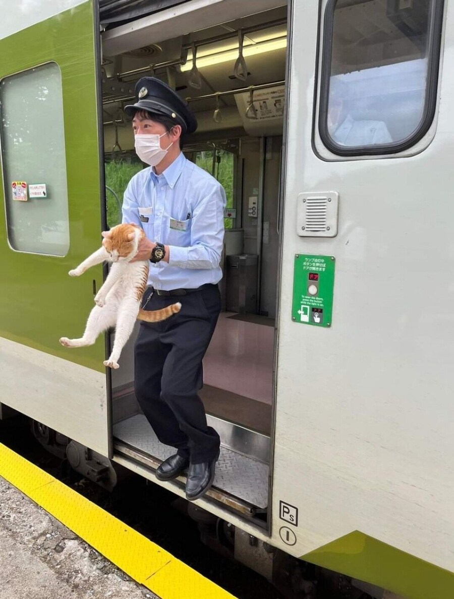 고양이는 못 타세요_2.jpg