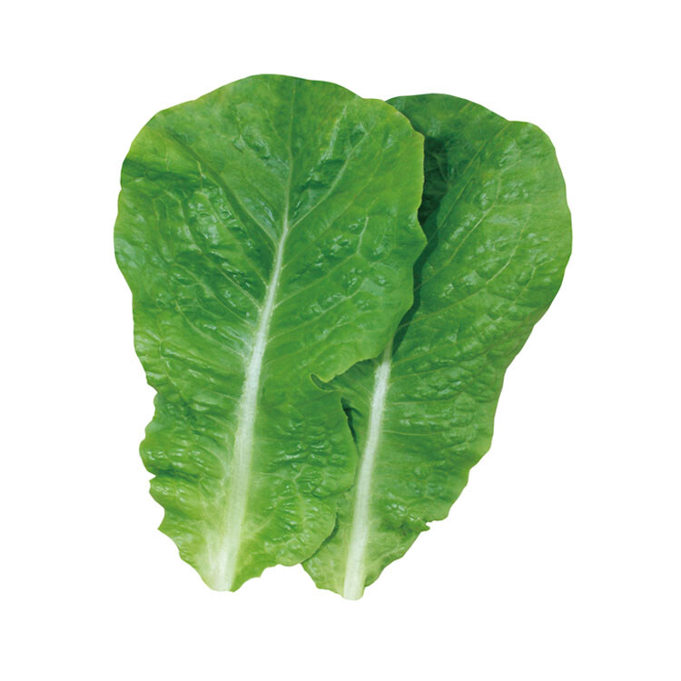 삼겹살 먹을때 필요한 것들.jpg_5.jpg