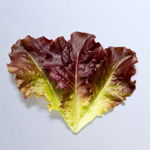 삼겹살 먹을때 필요한 것들.jpg_6.png