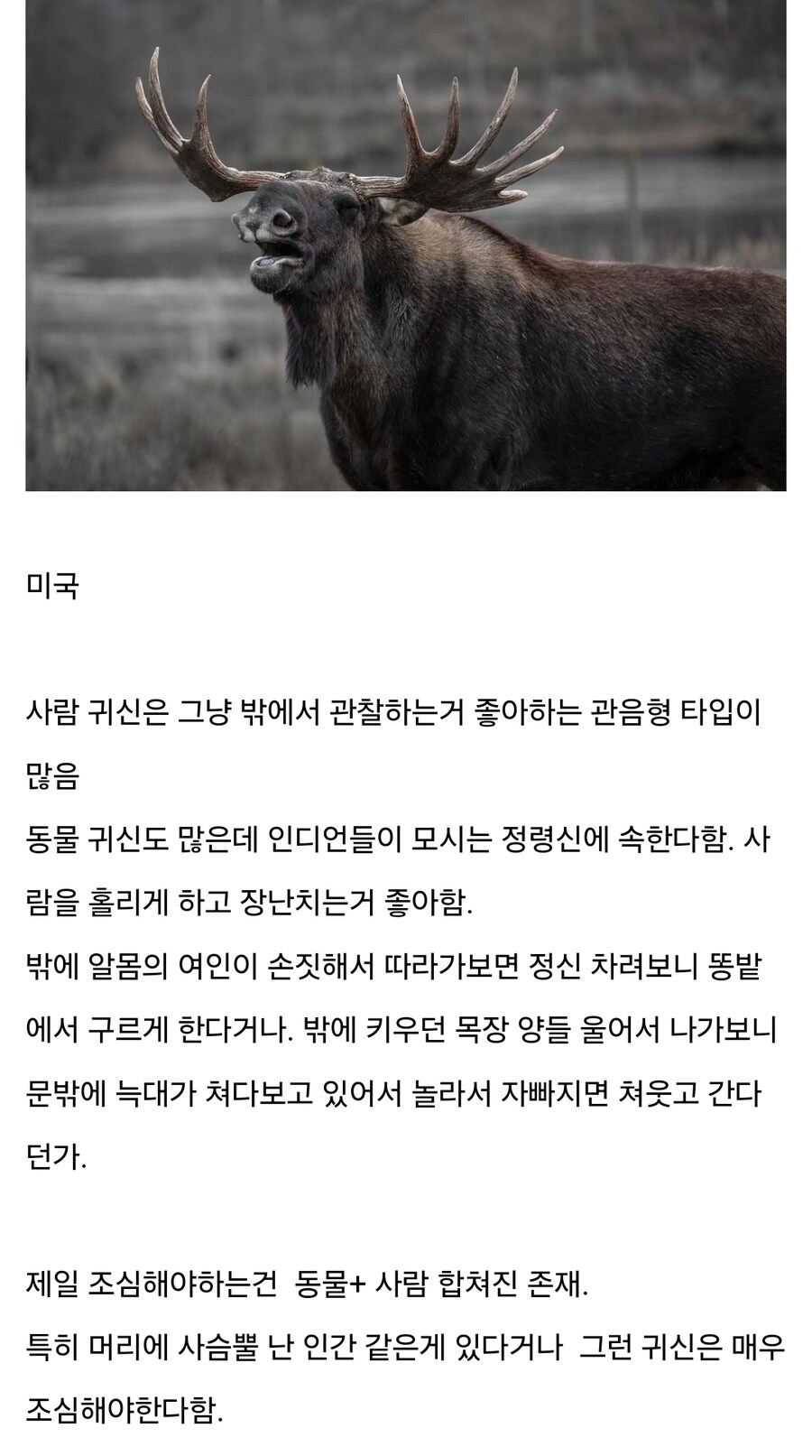 괴물) 각 국가별 특징_8.jpg