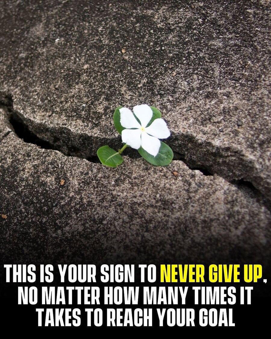 운전 면허 시험 960번 떨어진 할머니 해외 반응..JPG_5.jpg