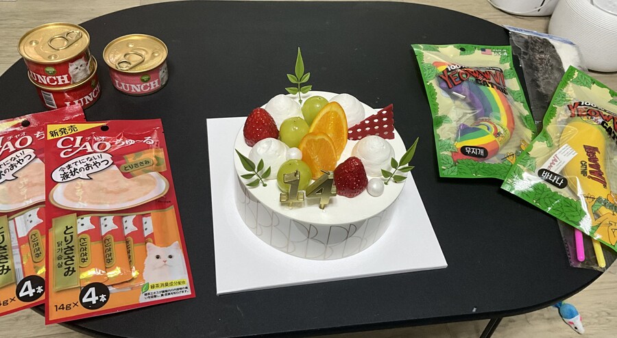 3월13일은 라온이의 14번째 생일이었습니다_2.jpg