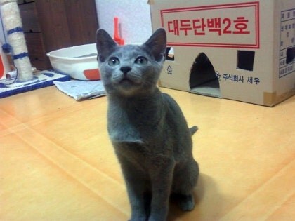 3월13일은 라온이의 14번째 생일이었습니다_14.jpg