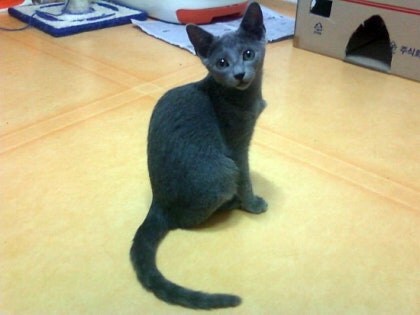 3월13일은 라온이의 14번째 생일이었습니다_15.jpg