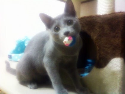 3월13일은 라온이의 14번째 생일이었습니다_18.jpg