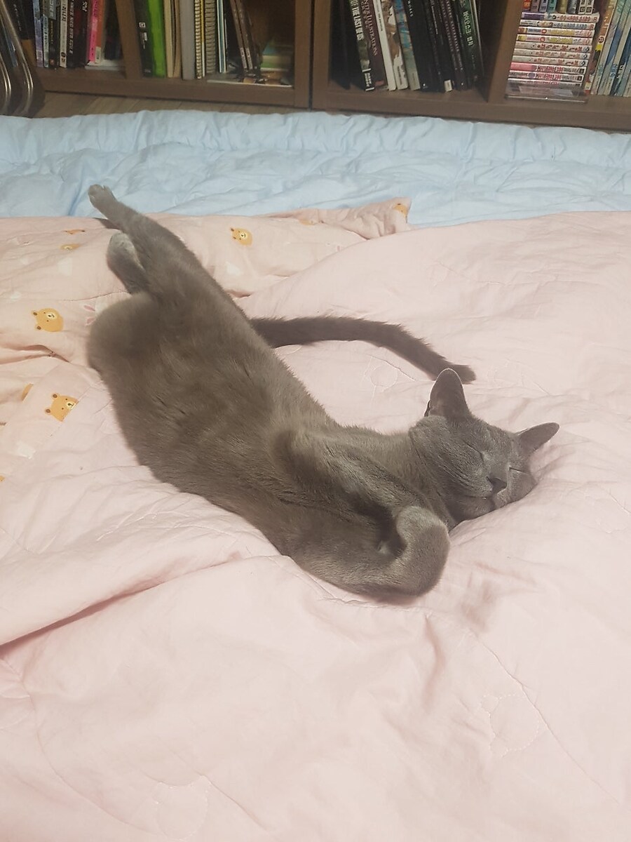 3월13일은 라온이의 14번째 생일이었습니다_26.jpg