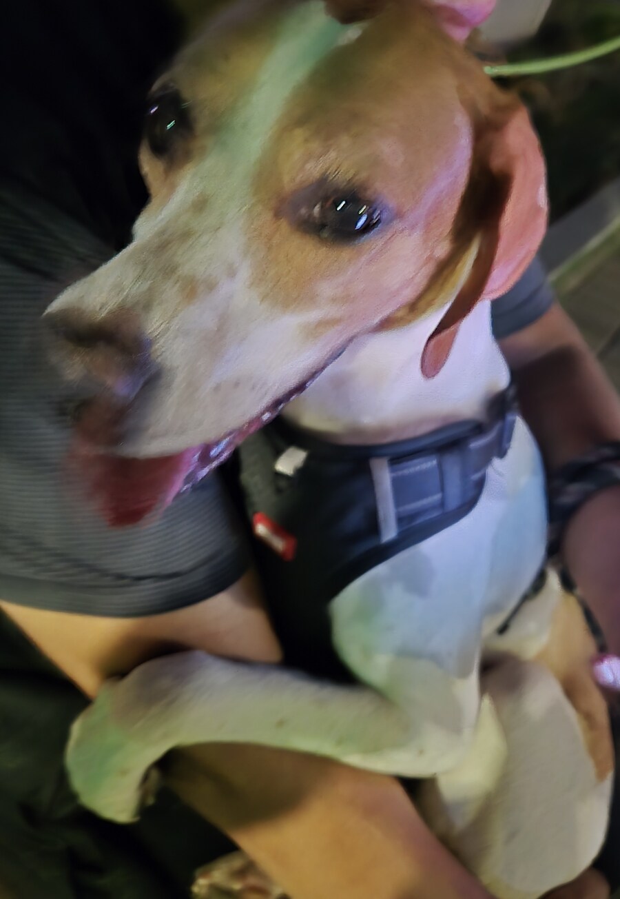 우리집 동물들 보고 갈래?_3.jpg