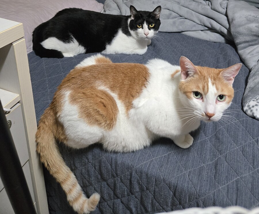 우리집 동물들 보고 갈래?_4.jpg