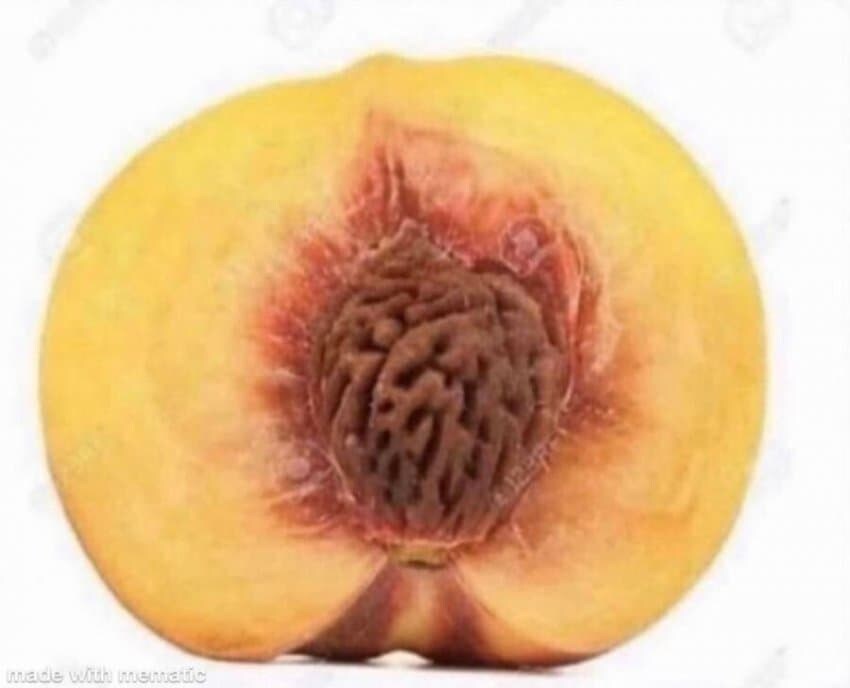 매우 흥미로운 떡밥이 돌고있는 뱅드림 갤러리 근황.jpg_4.jpg