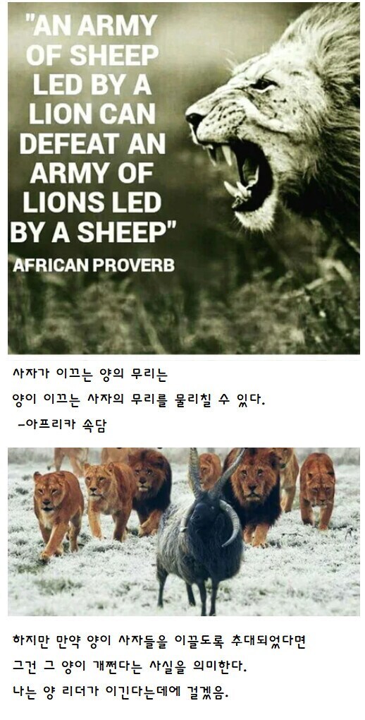 아프리카 속담이 틀린 이유_1.jpg