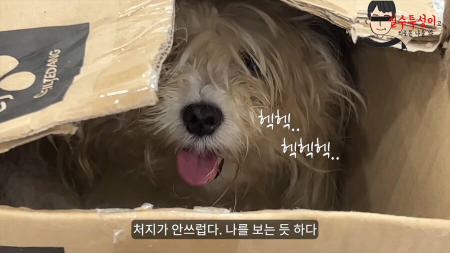 기초수급자가 말하는 자기가 살고 있는 동네 특징JPG_20.png