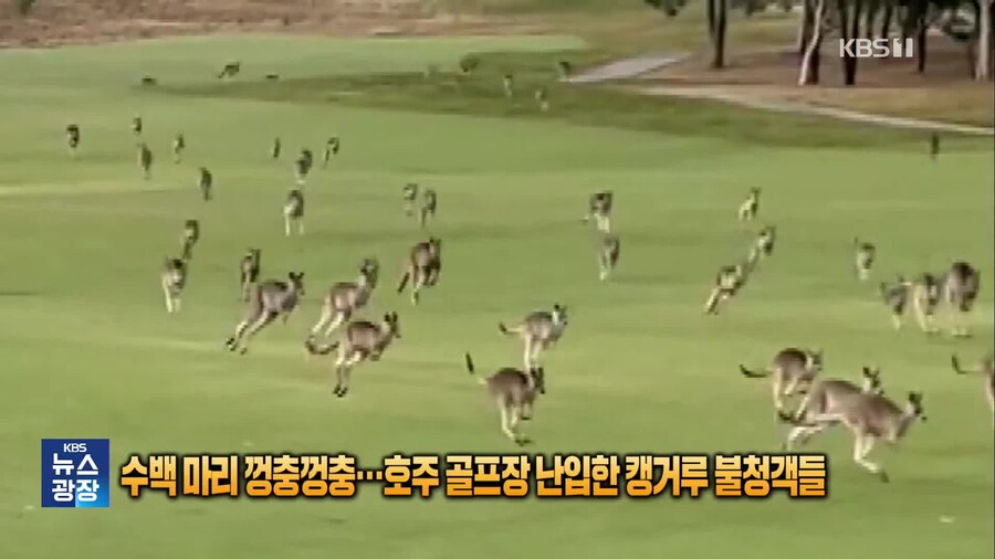 30 넘어서 캥거루 족 개웃기네 ㅋㅋㅋㅋㅋㅋ_2.jpg