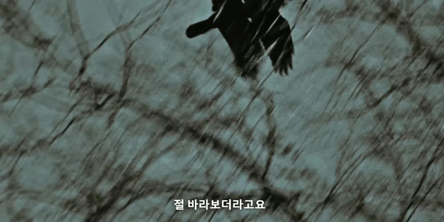 포로 사살 명령을 받은 독일군_9.webp