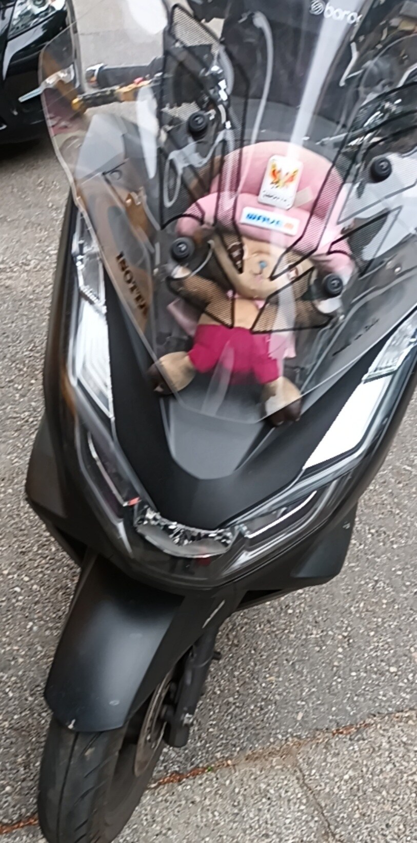 붙잡힌 쵸파_1.jpg