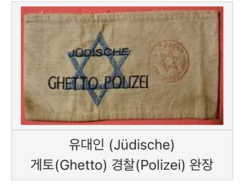 나치가 홀로코스트 실행에 있어 독가스를 도입한 직접적 이유.jpg_6.jpg