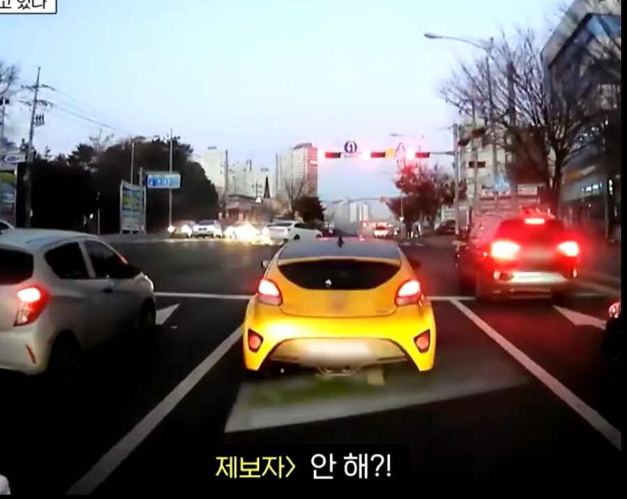 출근길에 매번 보던 신호위반 차를 신고할려했던 사람_5.jpg