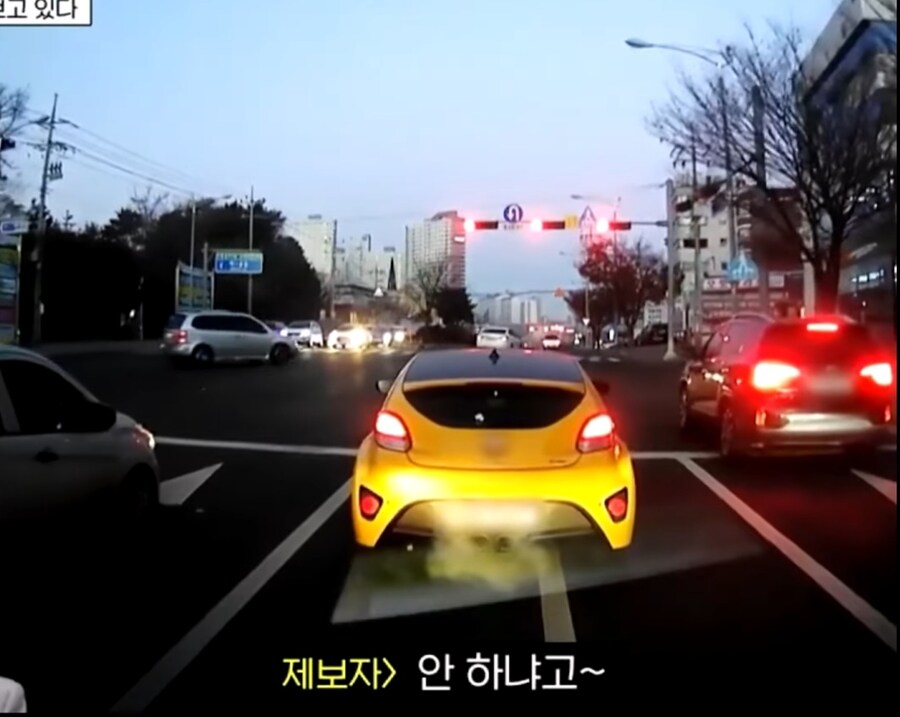 출근길에 매번 보던 신호위반 차를 신고할려했던 사람_6.jpg