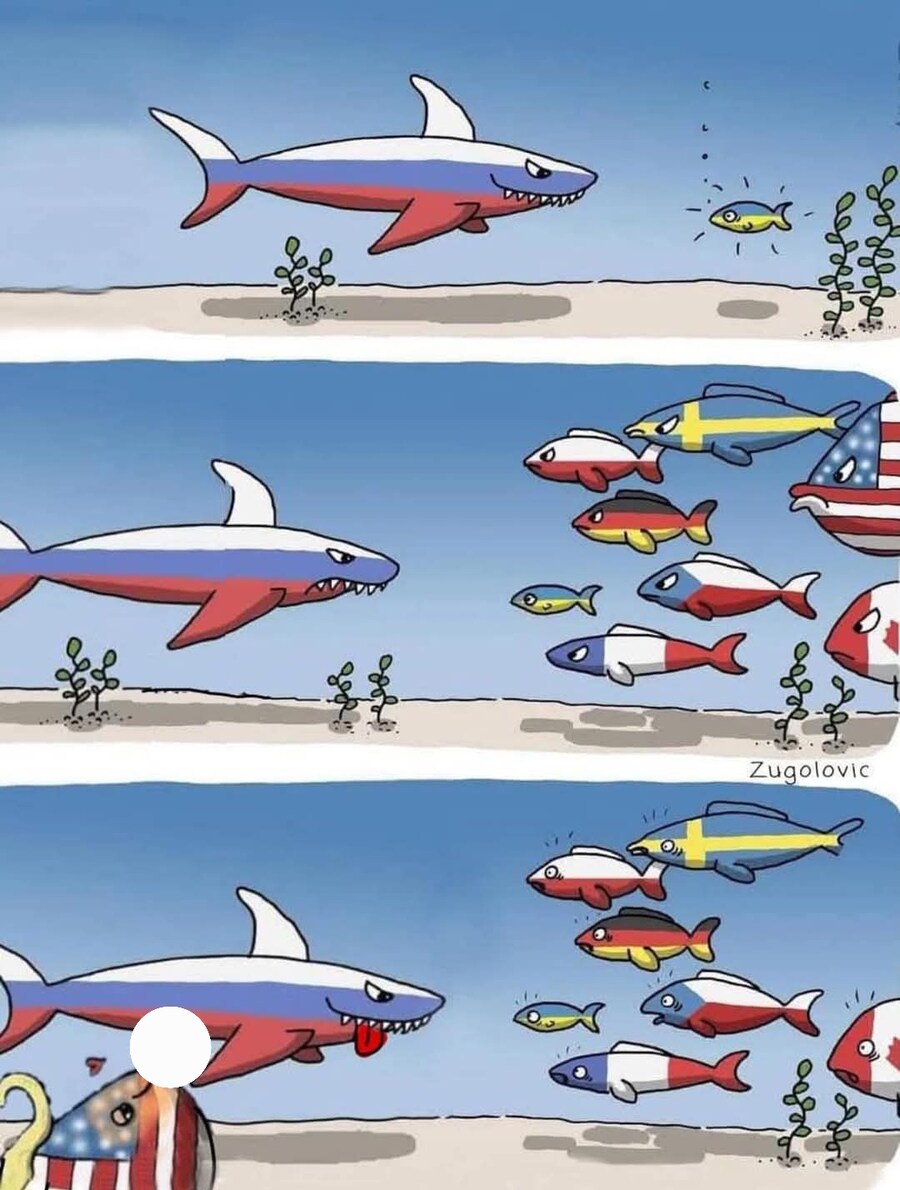 현재 국제 정세 상황_1.jpg