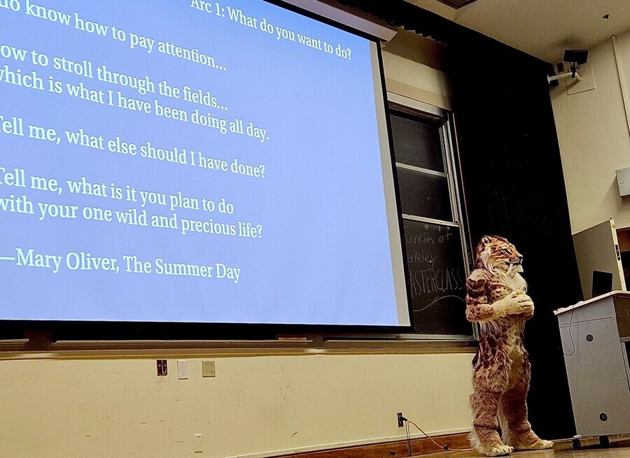 통 큰 스탠퍼드대의 수상한 근황.furry_3.jpg