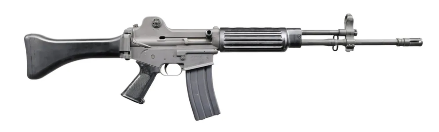 소총은 작지도 않은데 왜 소총임?_1.webp