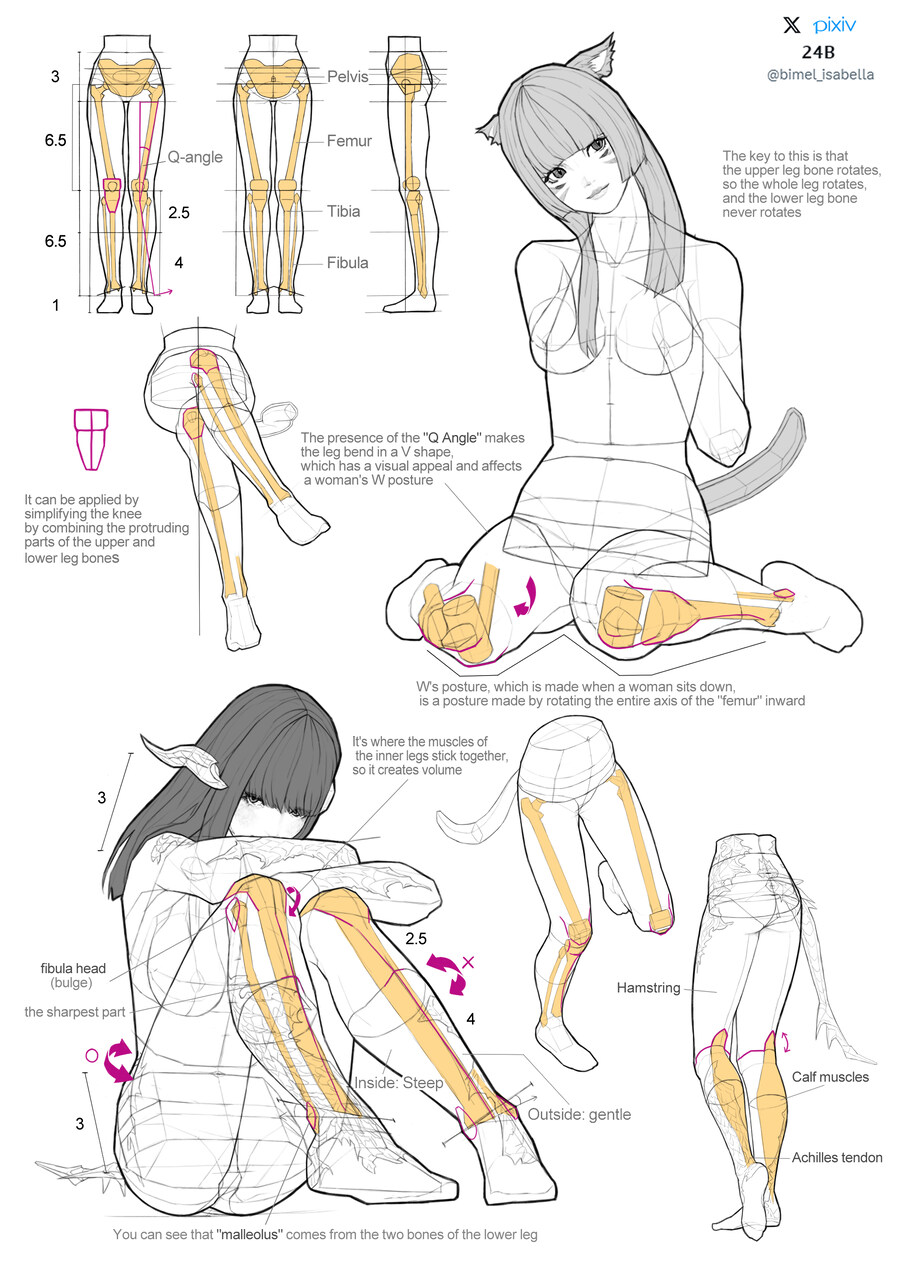 그림 그릴때 해부학을 배우는 이유_1.jpg