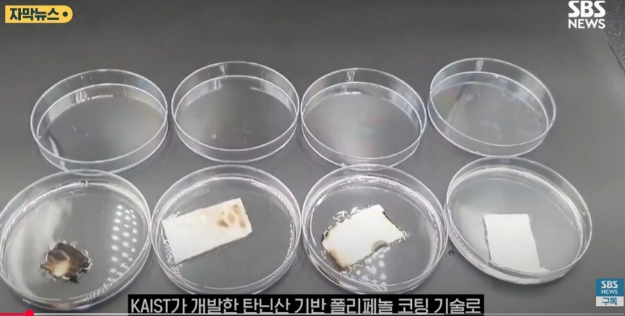 홍합 껍데기로 탈모 예방.jpg_3.jpg