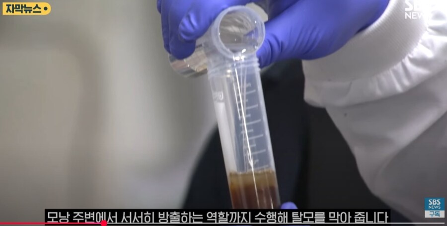 홍합 껍데기로 탈모 예방.jpg_7.jpg