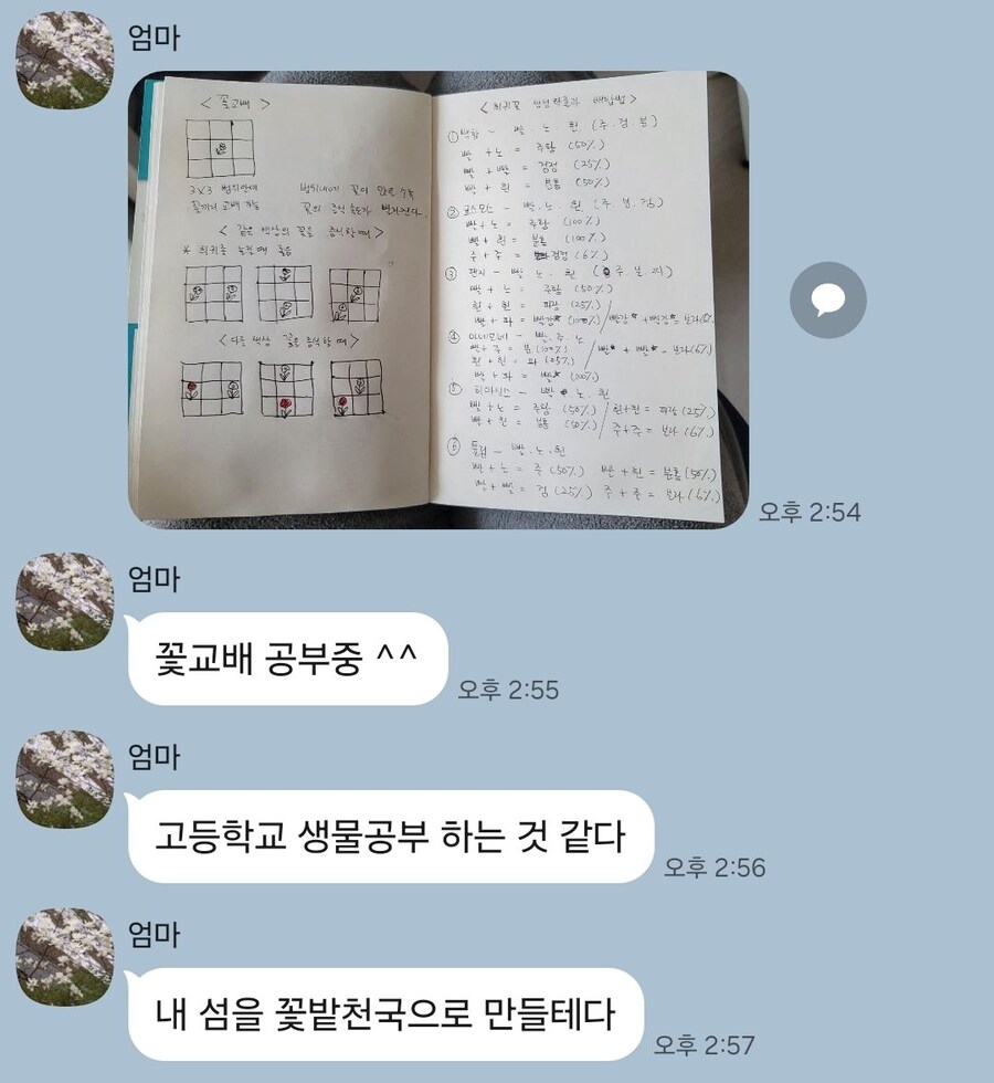 동숲)엄마가 동숲에 빠졌다_1.jpg