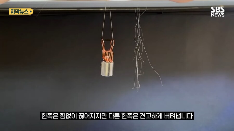 '홍합' 근황류 甲_2.png