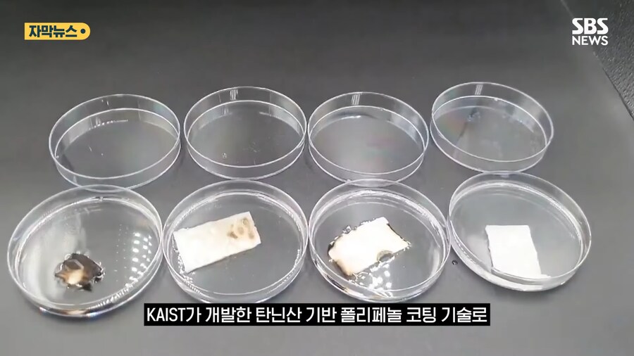 '홍합' 근황류 甲_3.png