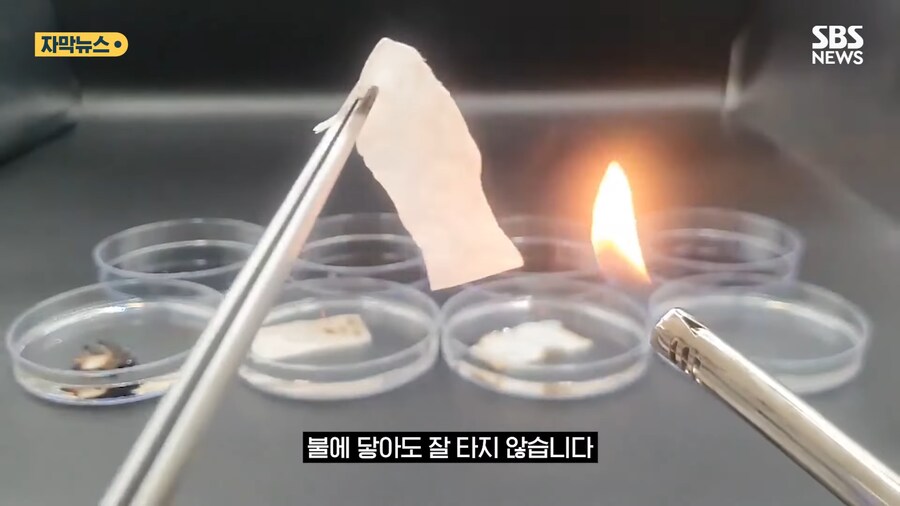 '홍합' 근황류 甲_4.png