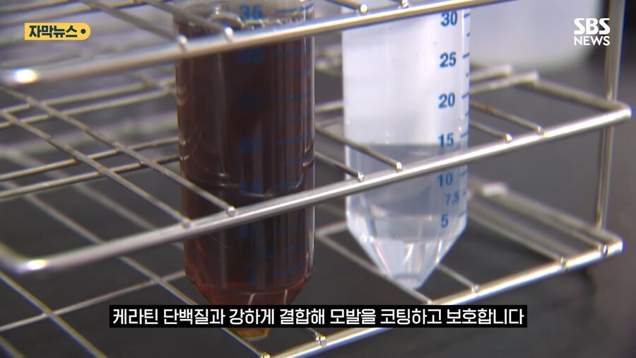 '홍합' 근황류 甲_8.png