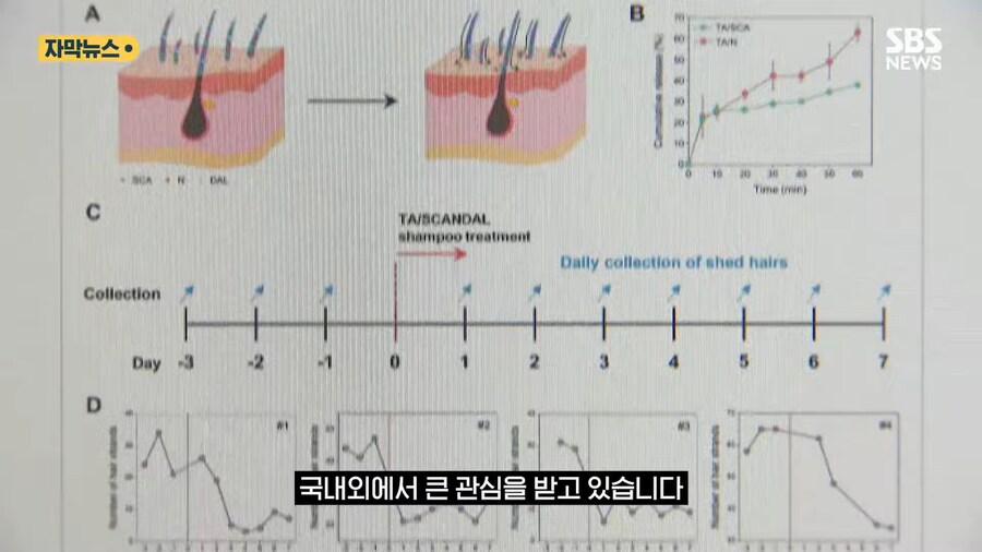 '홍합' 근황류 甲_18.png