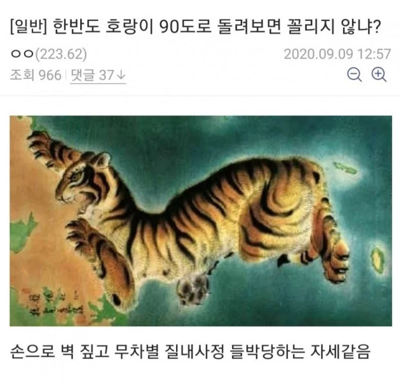 한반도 호랑이를 90도돌리면_1.webp