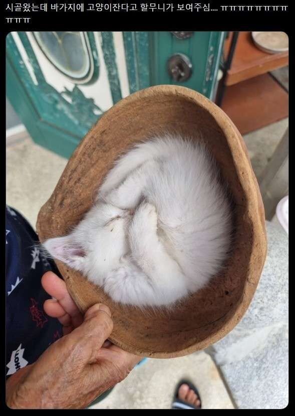 시골할머니가 바가지를 보여주신이유.jpg_1.jpg