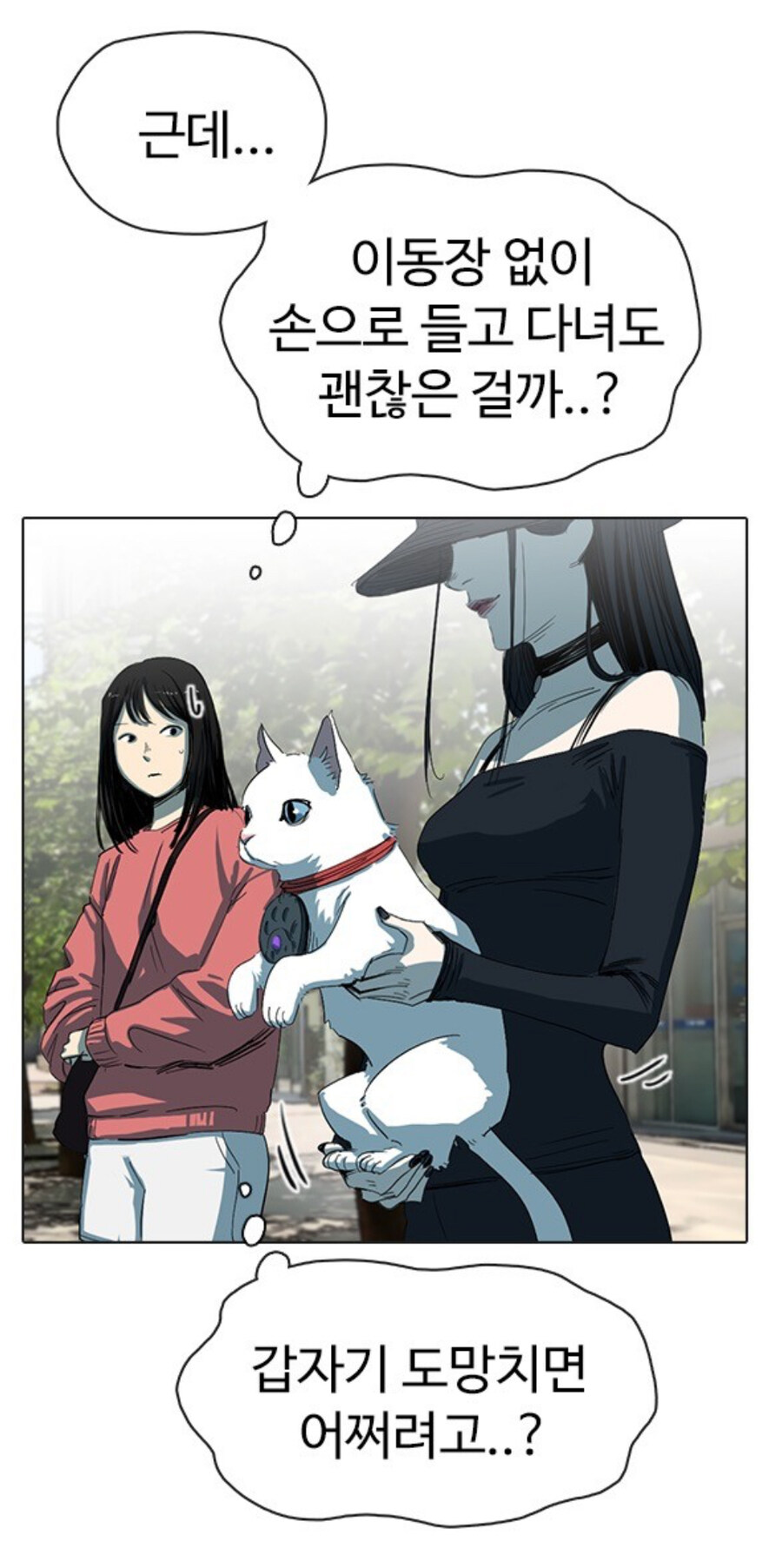 고양이 함부로 버리는 사람 전부 잡아야 하는 이유_2.jpg