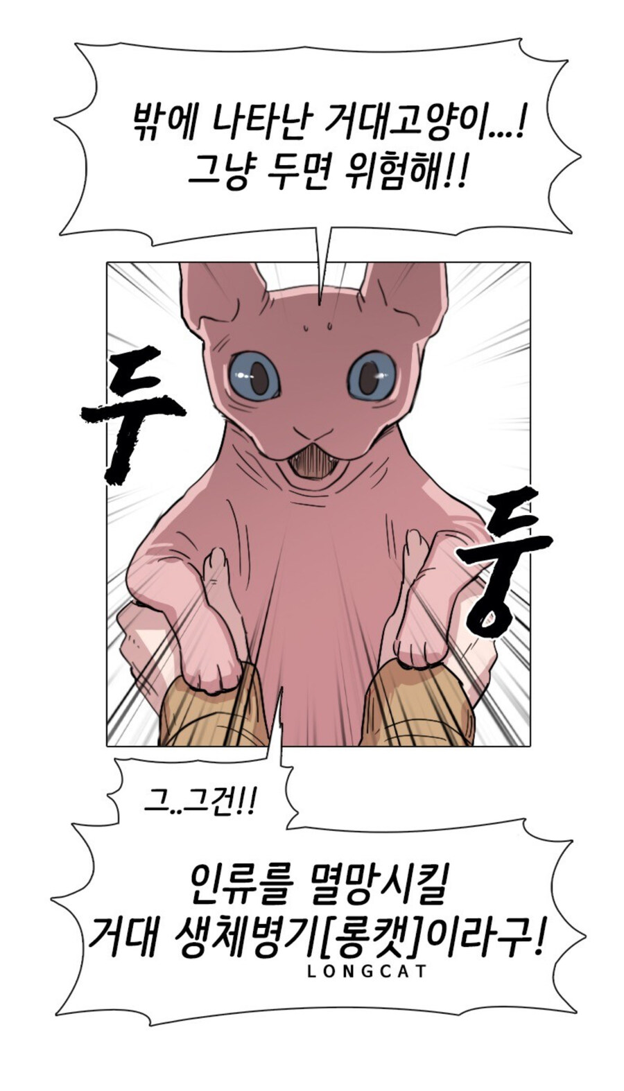 고양이 함부로 버리는 사람 전부 잡아야 하는 이유_12.jpg
