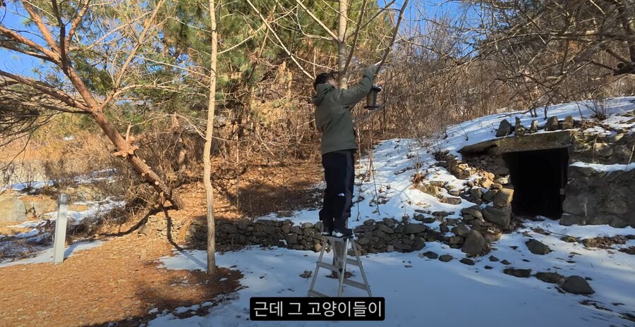 새 모이통은 무조건 높이 달 수록 좋은 이유_5.png