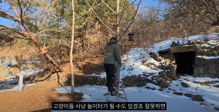 새 모이통은 무조건 높이 달 수록 좋은 이유_17.png