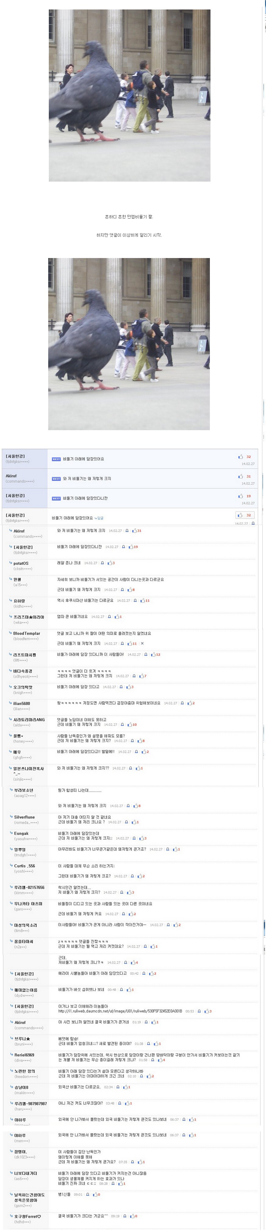 비둘기밑에 담장있어요_1.png