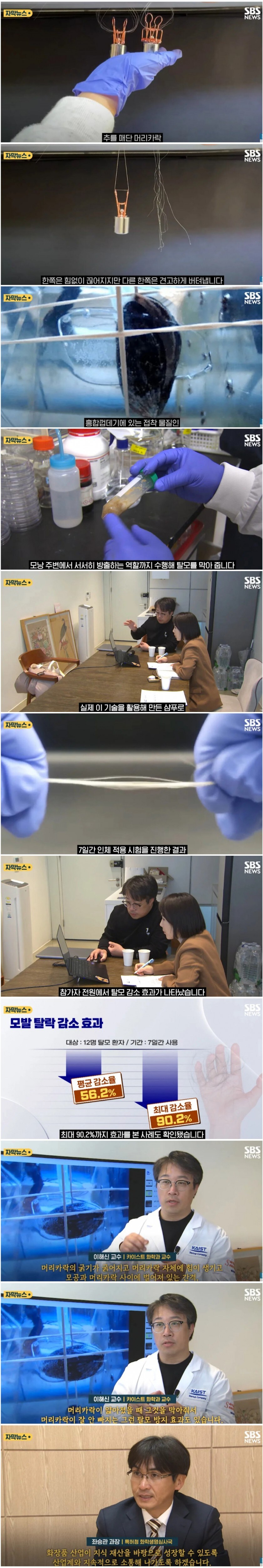 홍합에서 탈모 감소 물질 발견_1.jpg