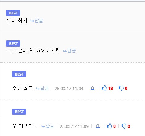 순애짤에 끼어든 냉혹한 컴퓨터의 기습_2.png