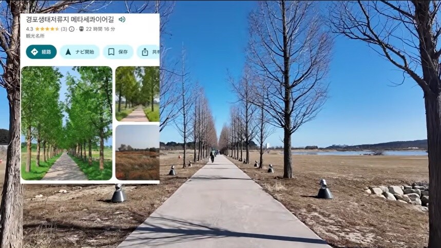 강릉 풀코스로 즐기고간 일본인_34.jpg