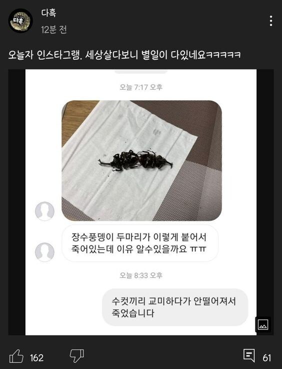 수컷끼리 펜싱하다 죽어버림_1.jpg