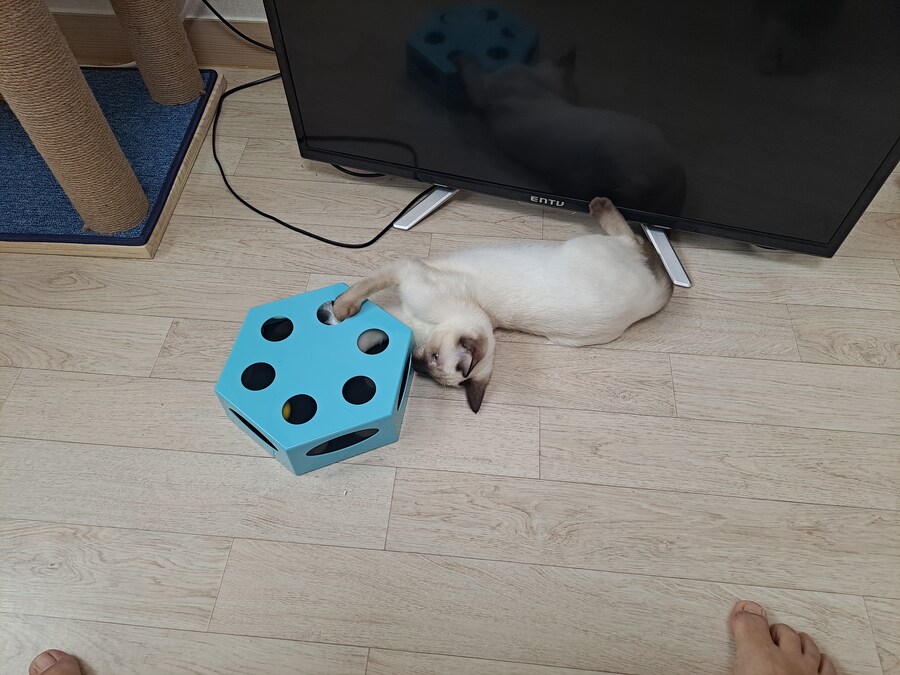 블랙세이버좌 저격하는 글 같은 것 볼 시간있으면 그냥_4.jpg