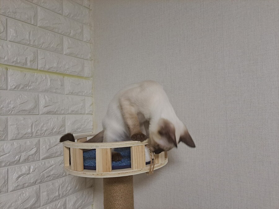 블랙세이버좌 저격하는 글 같은 것 볼 시간있으면 그냥_7.jpg