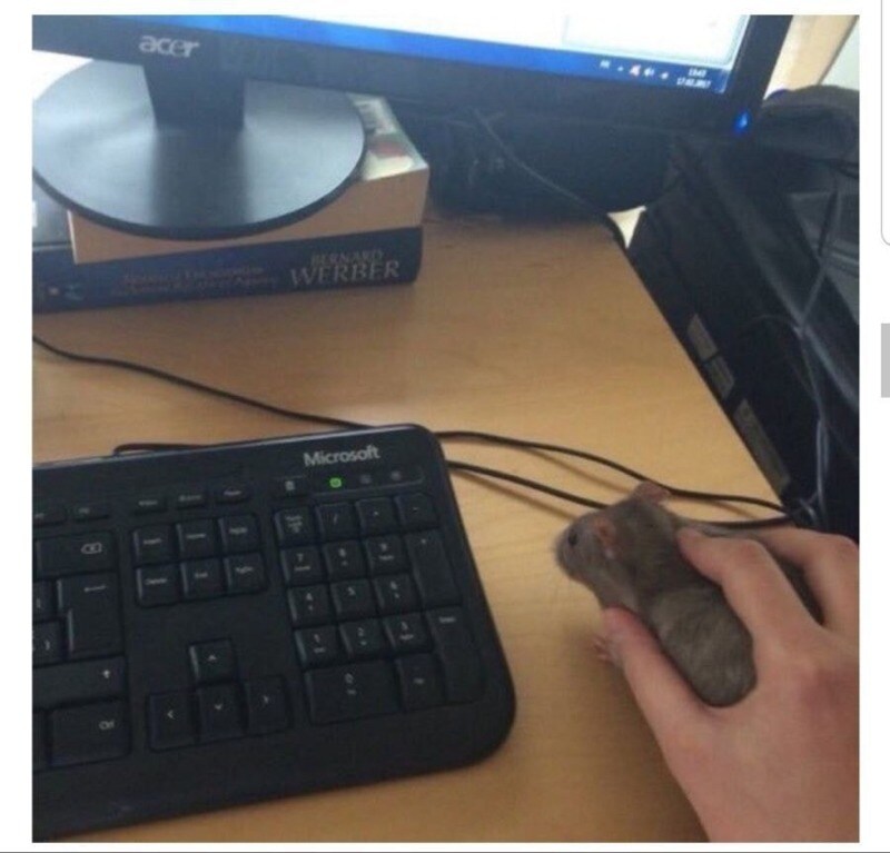 역할바꾸기.mouse_2.jpg