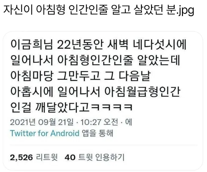 자본주의 아침형인간_1.webp