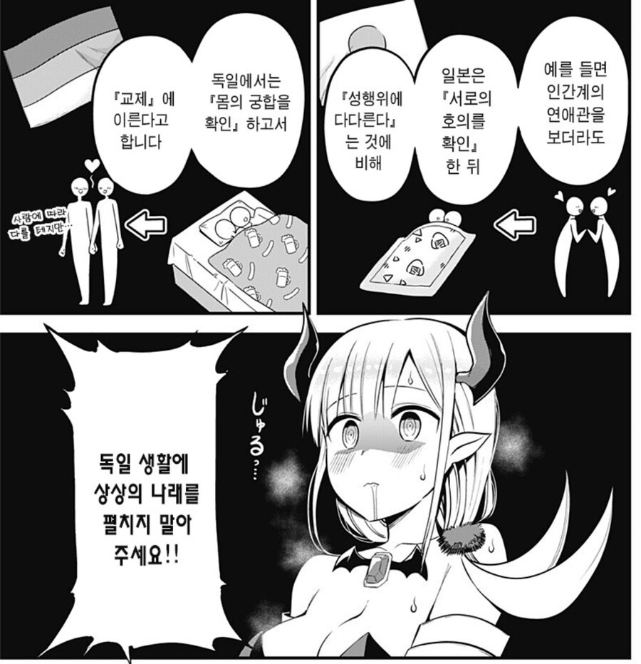 독일 얘기듣고 군침돋는 서큐버스_1.jpg