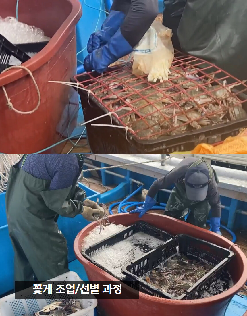 [네이버] 양념게장 간장게장 간장깐새우장 세트 할인 혜택가!_9.jpg